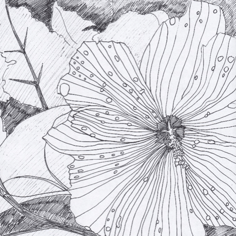 CRESCENT CORNER: The Creative Journey – Finding Passion in Persistence