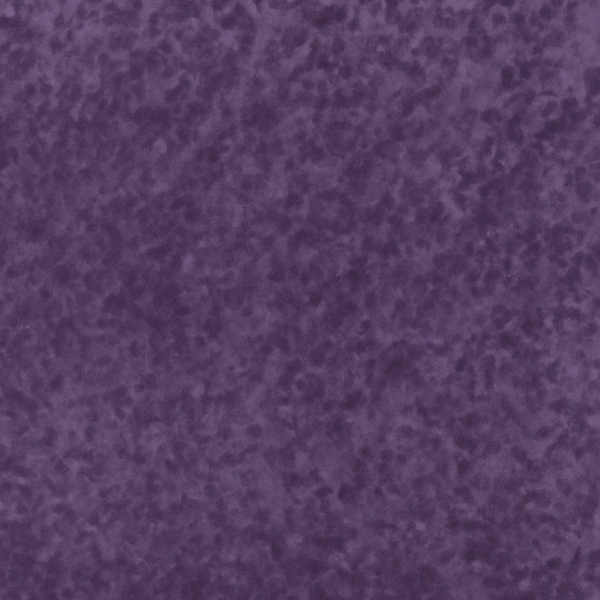 Vivid Purple