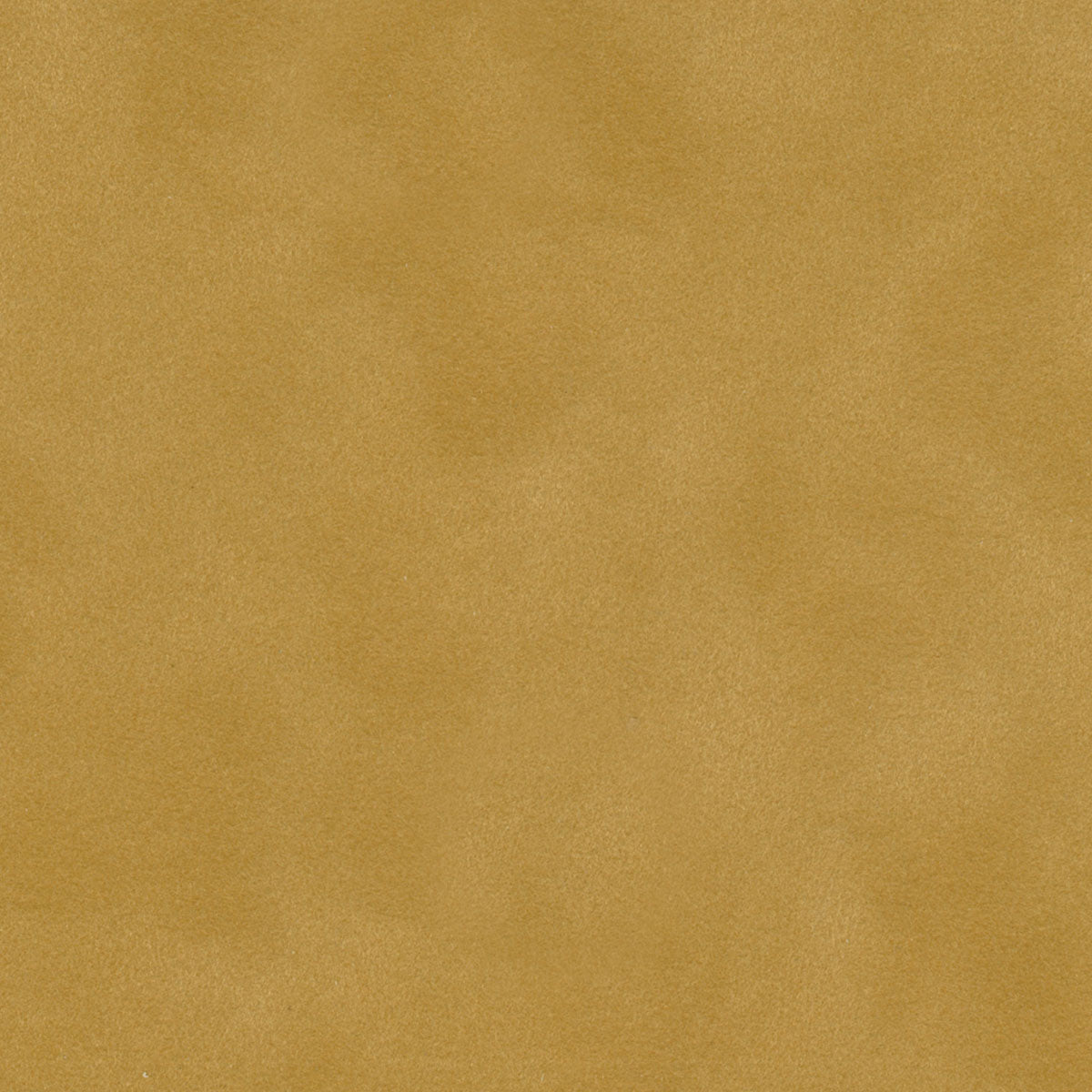 Cinnamon