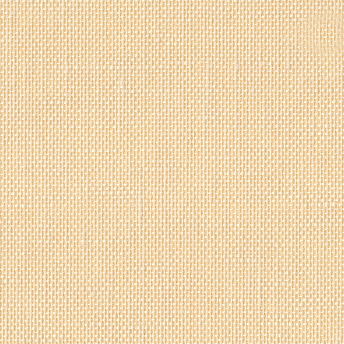 Parchment
