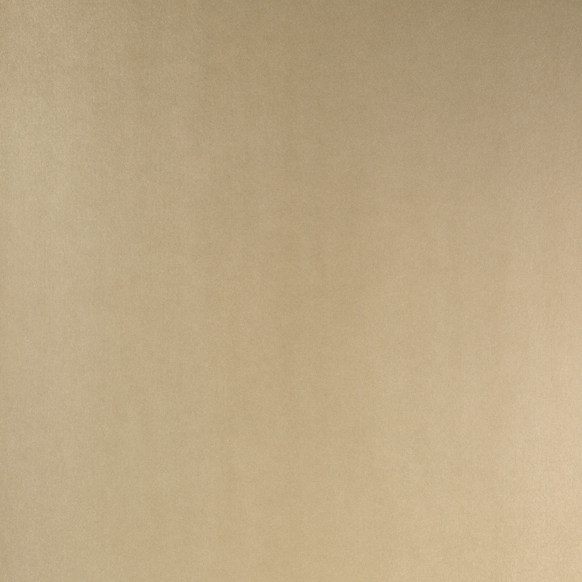Brushed Pale Gold
