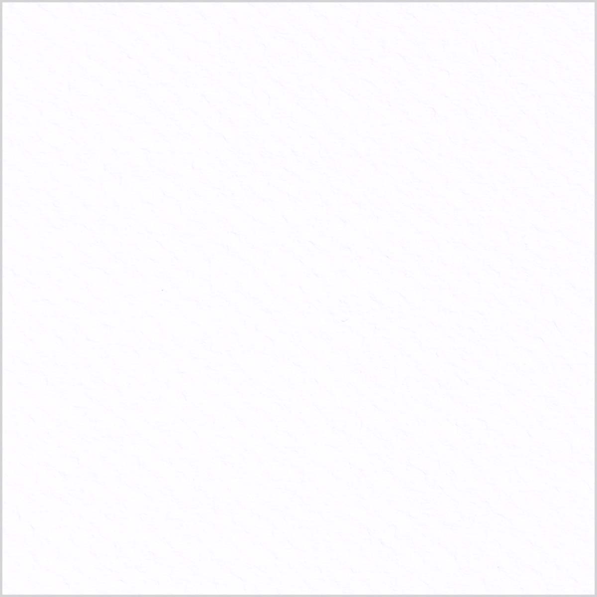 Polar White