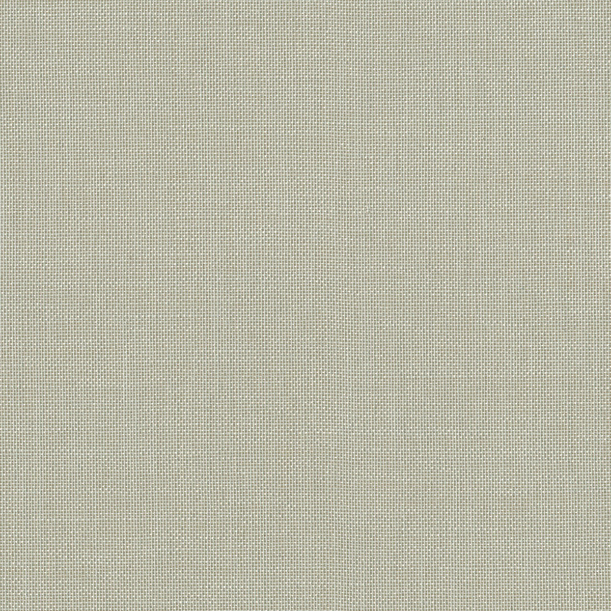 Silver Gray