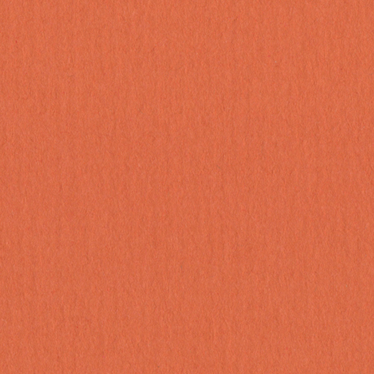 Burnt Orange