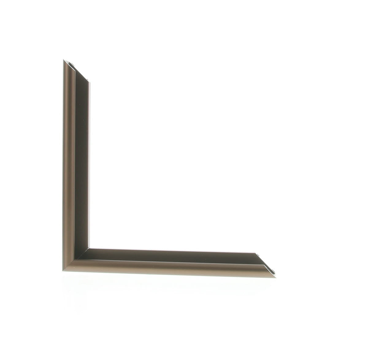 ML1519