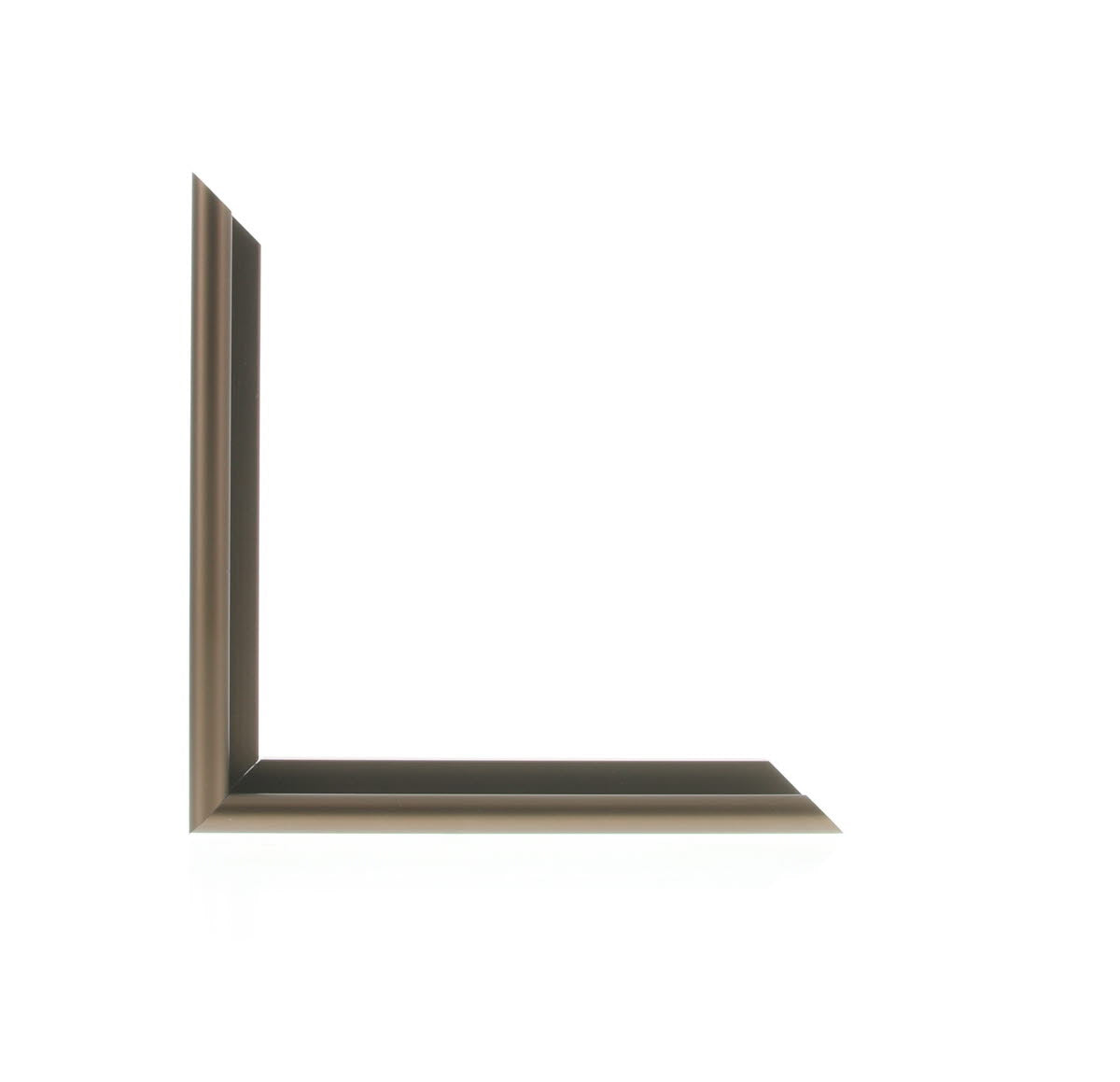 ML1519