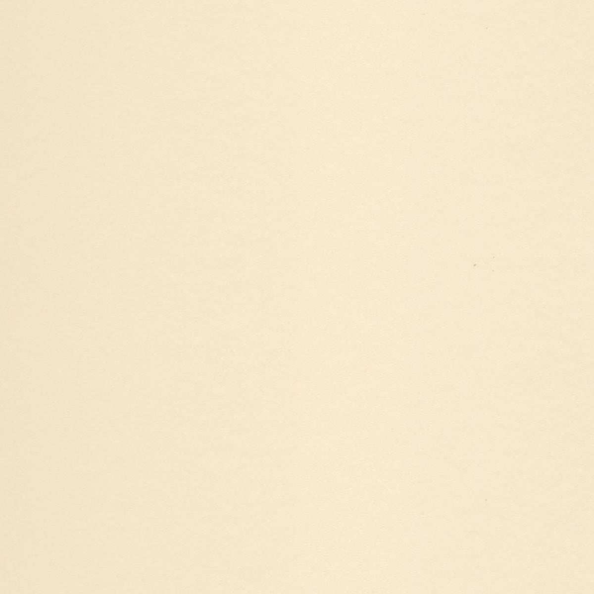 ㅤ8-Ply Cream Gallery Board