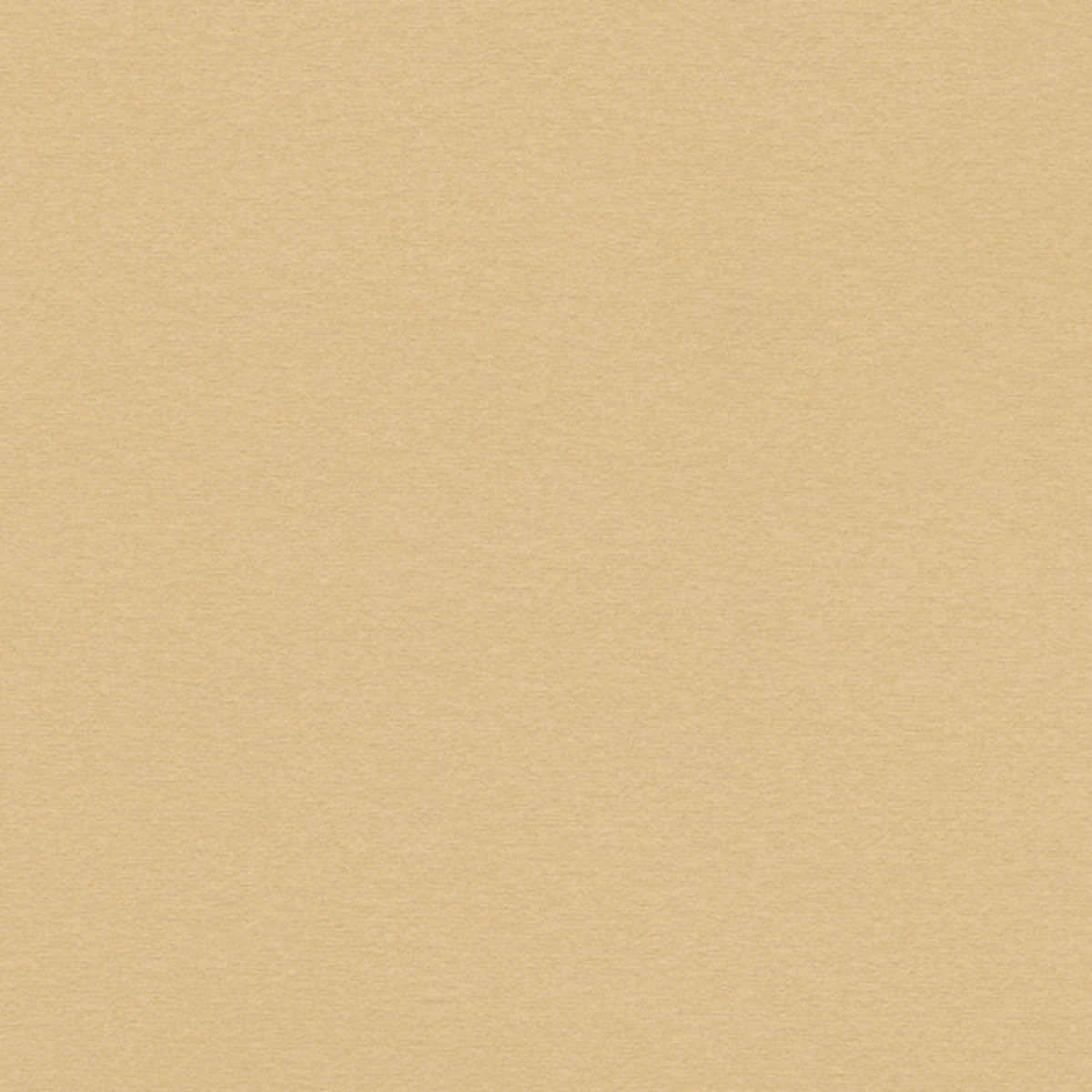 Desert Sand