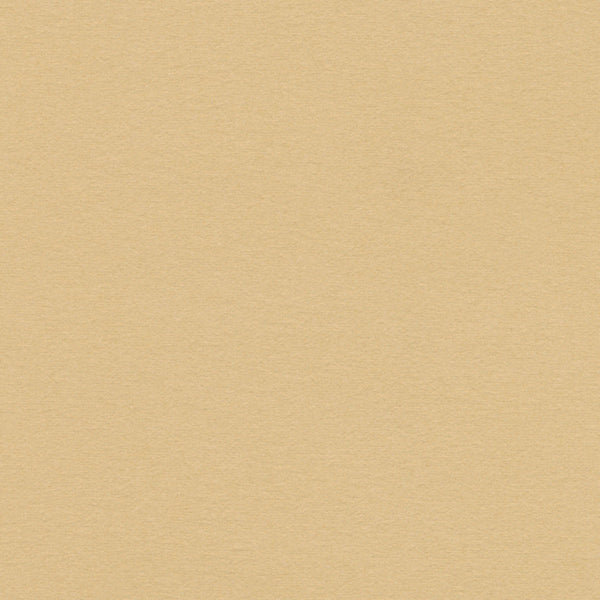 Desert Sand