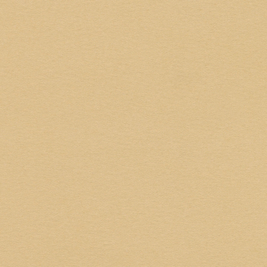 Desert Sand
