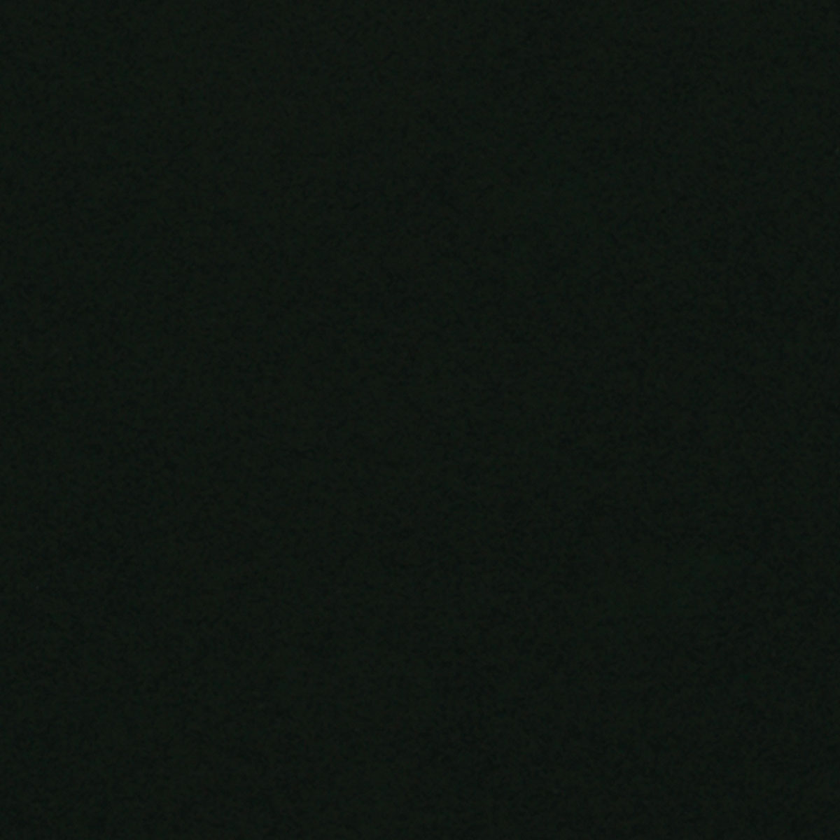 Black Sponge