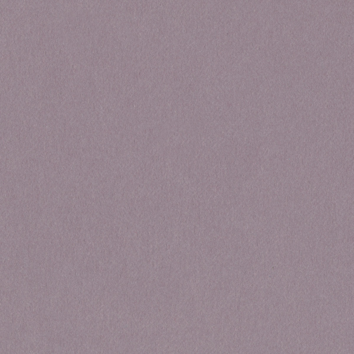 Hazy Lilac