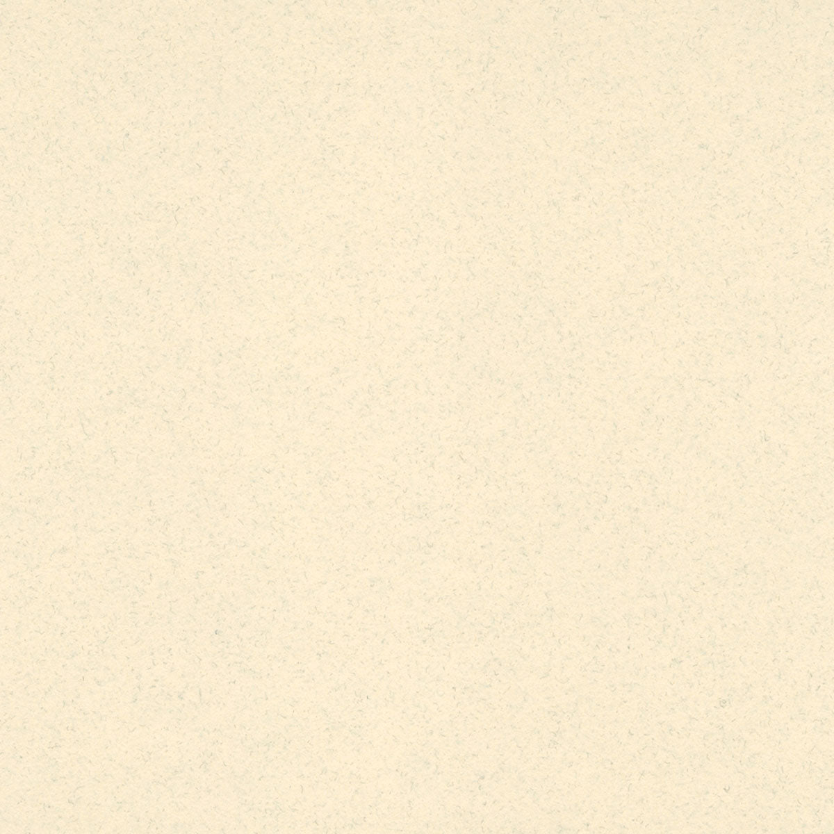 Spice Ivory