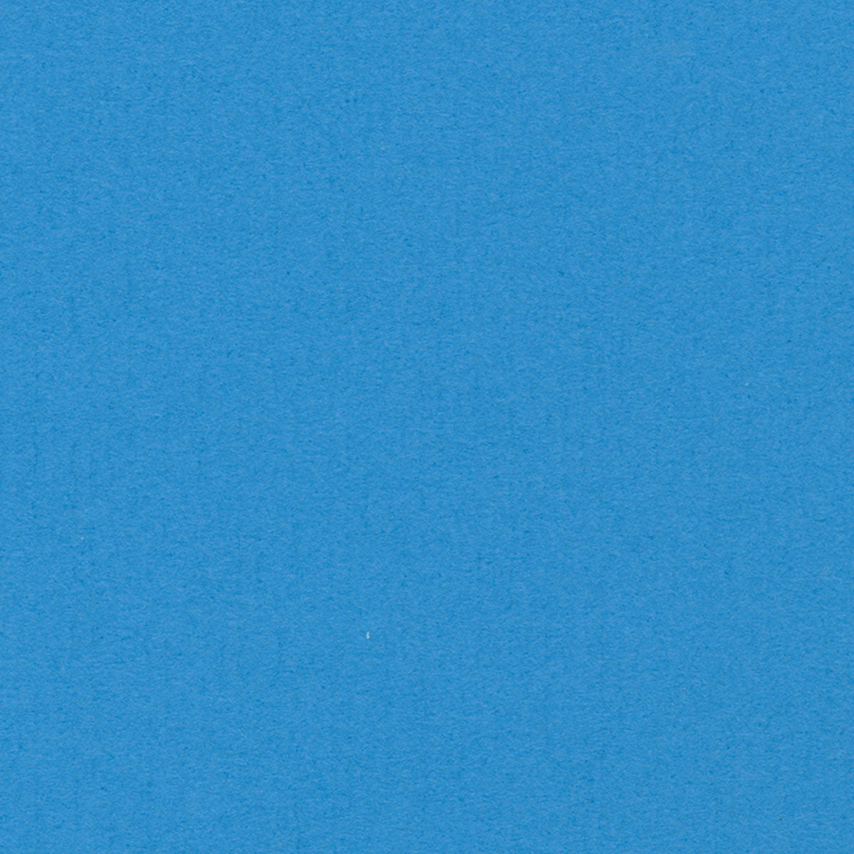Blue Belle