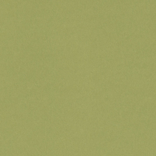 Grecian Olive
