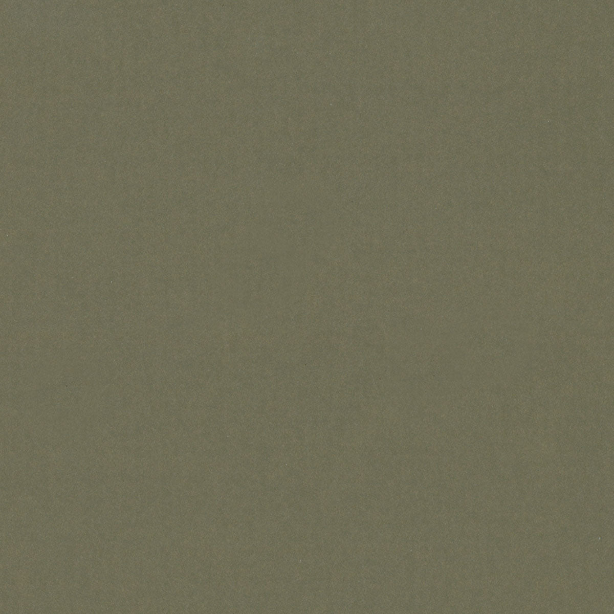 Olive Bronze