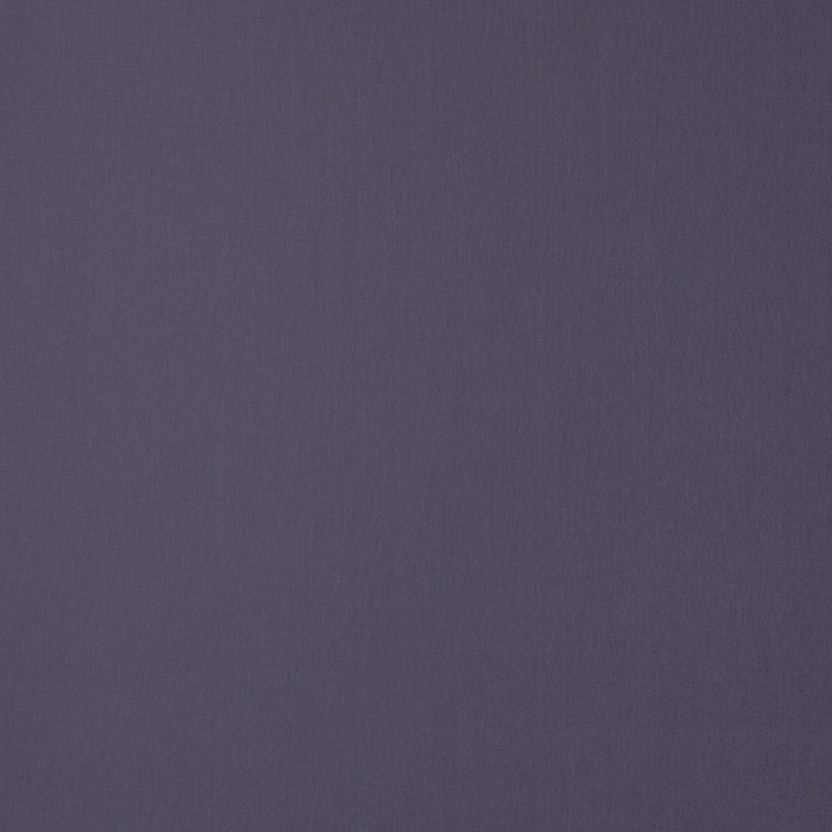 Enchanted Purple