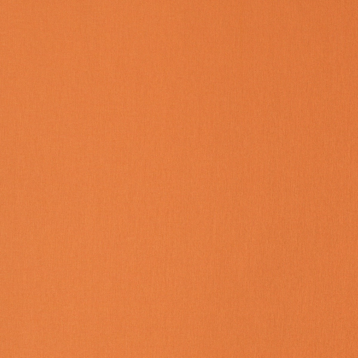 Orange Zest