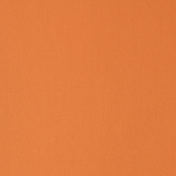 Orange Zest