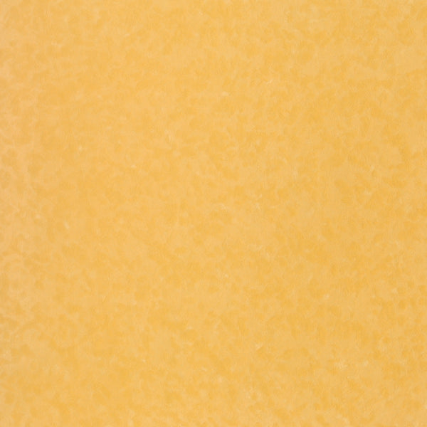 Sundrenched