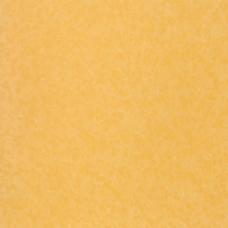 Sundrenched