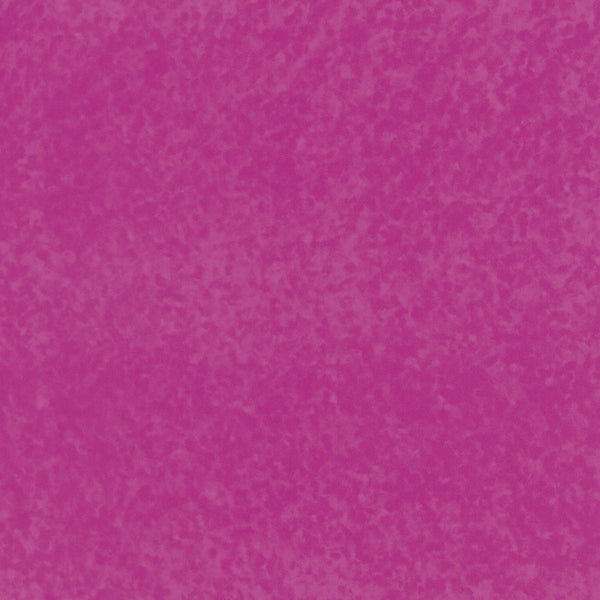 Raspberry Fizz