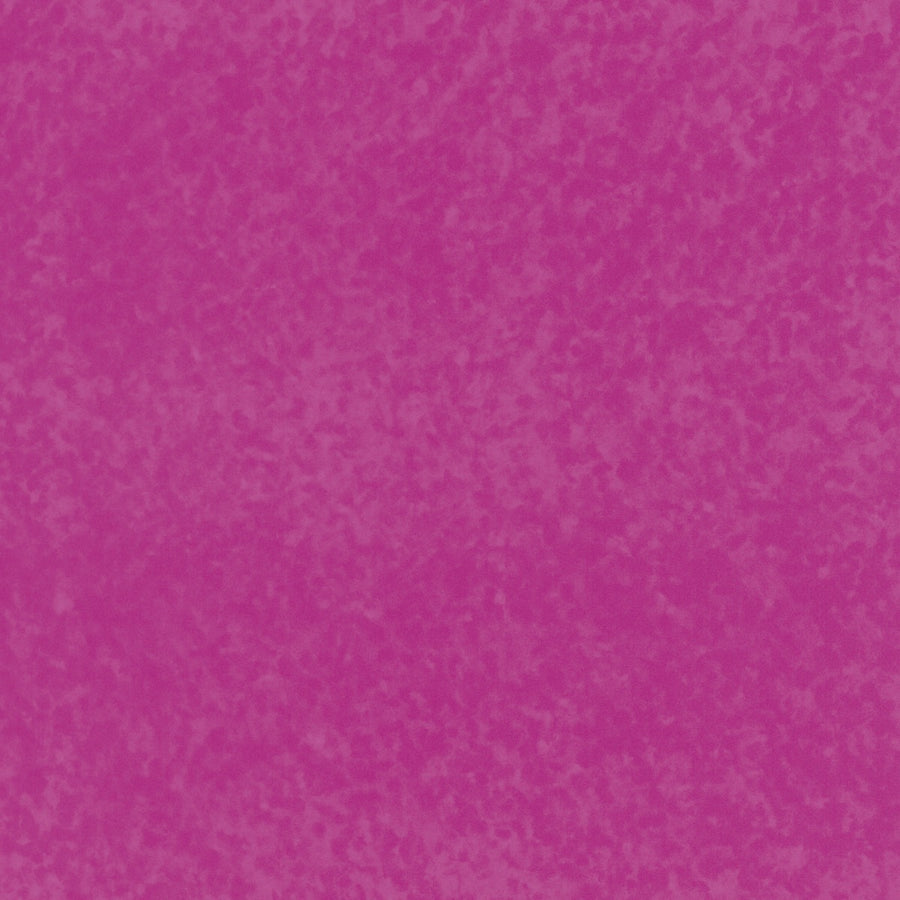 Raspberry Fizz