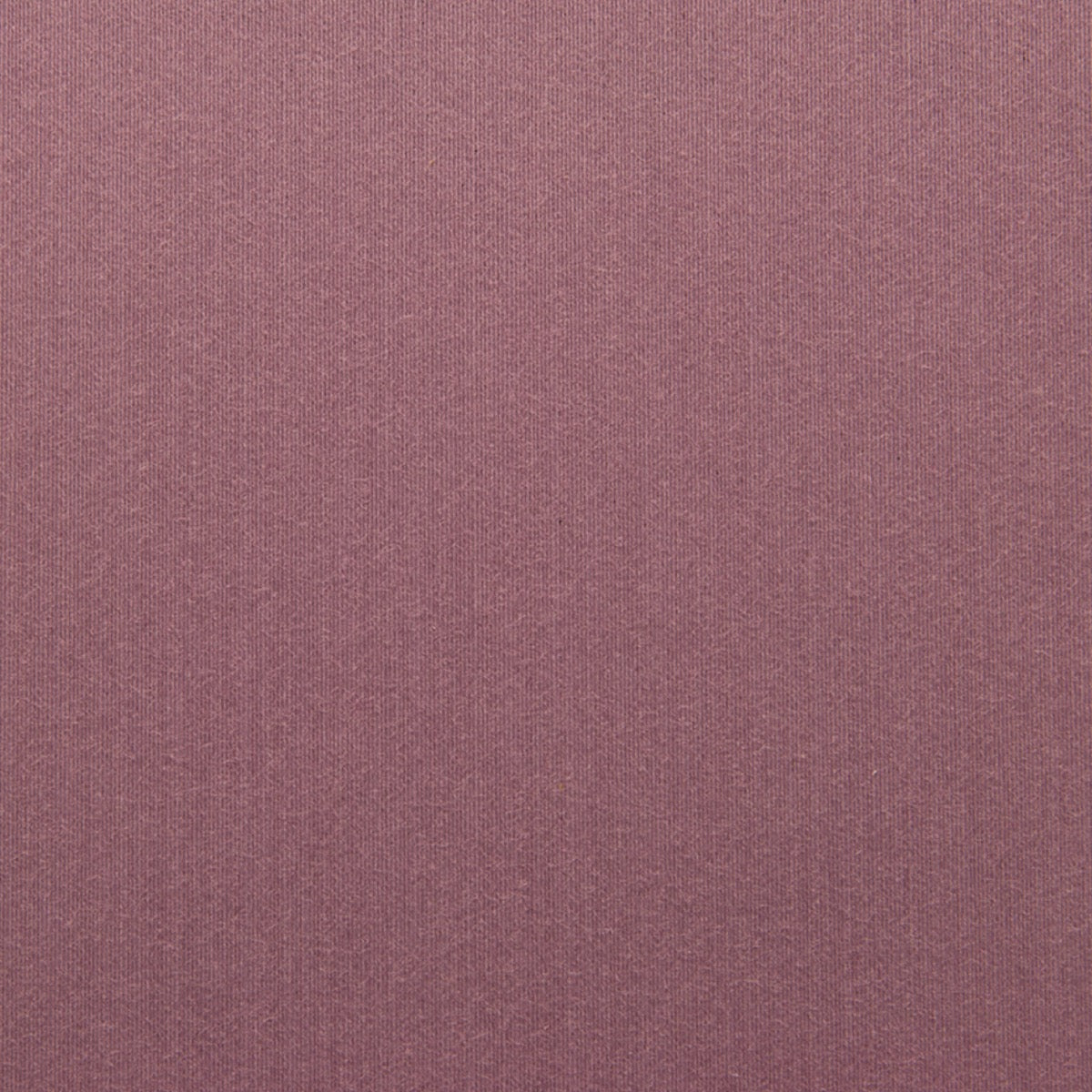 Violetta