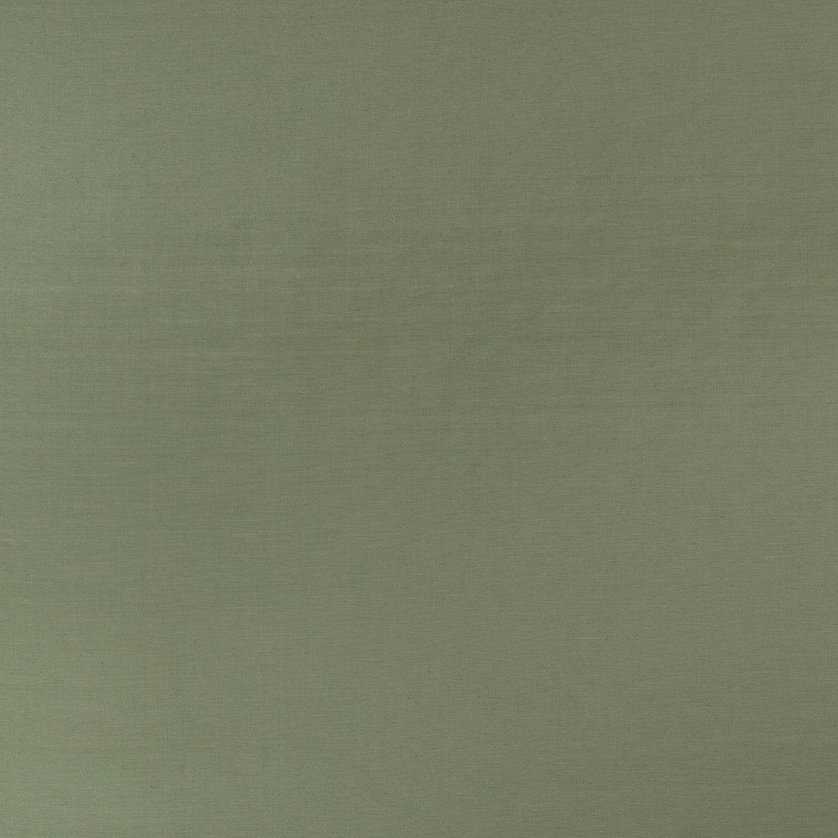 Petal Green
