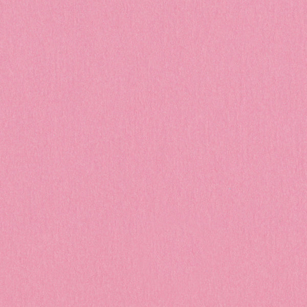 Carnation