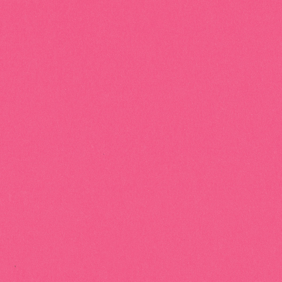 Peony