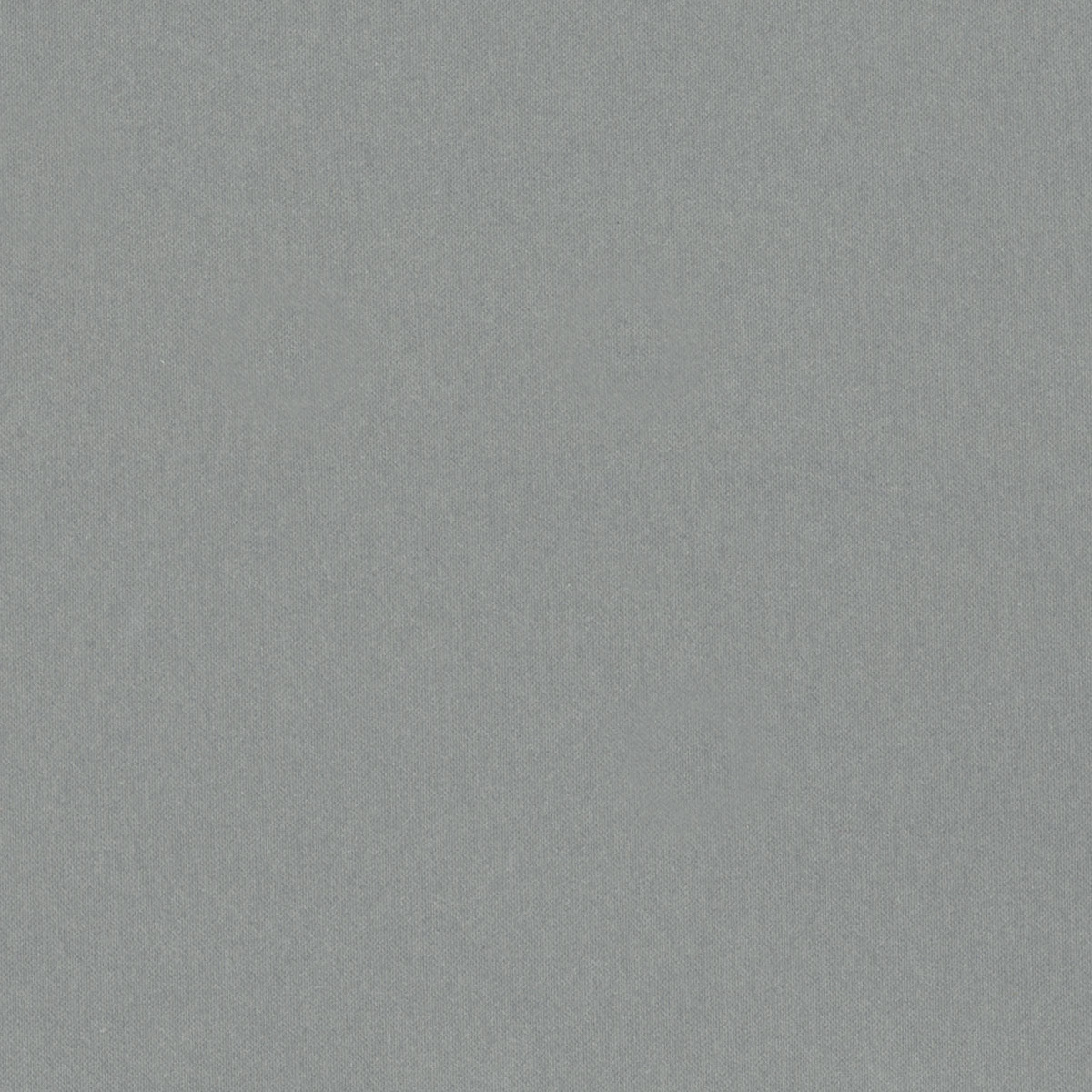 Neutral Gray