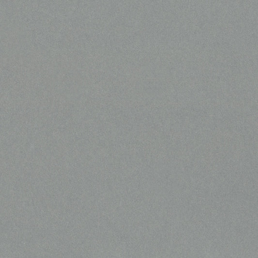 Neutral Gray