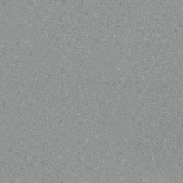 Neutral Gray