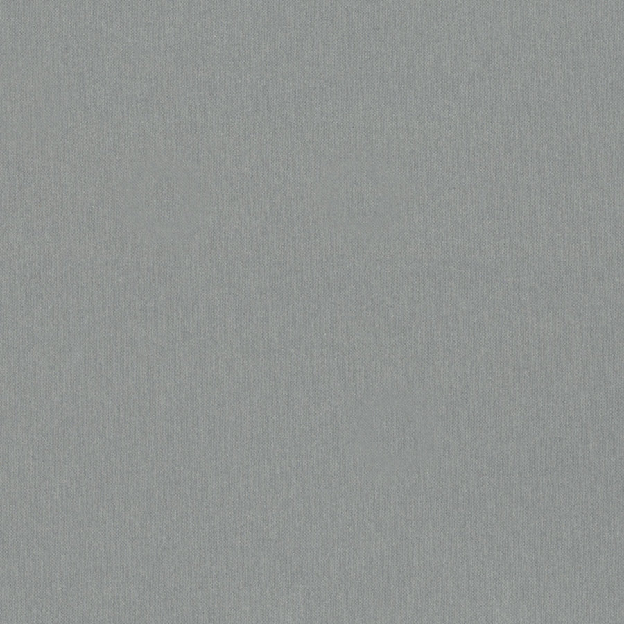 Neutral Gray