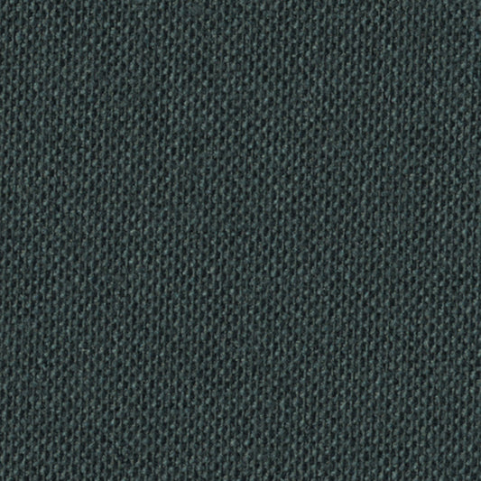Ebony Shimmer