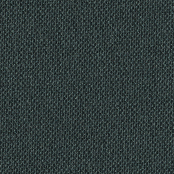 Ebony Shimmer