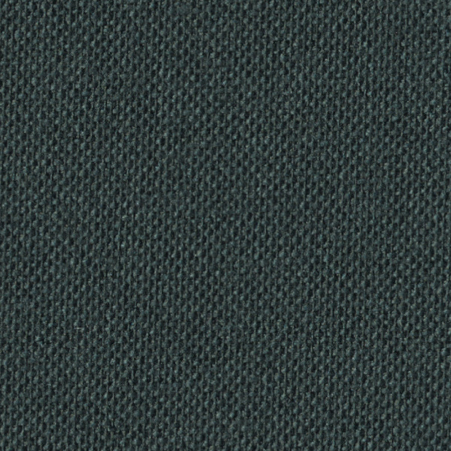 Ebony Shimmer