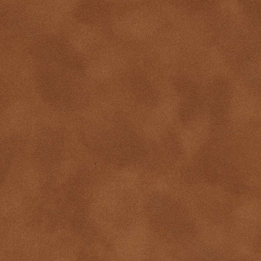 Chamois
