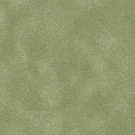 Asparagus Suede Foliage