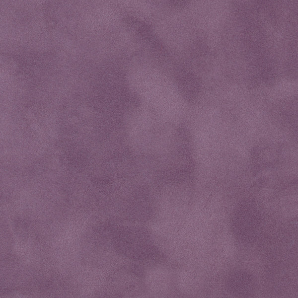 French Lavender