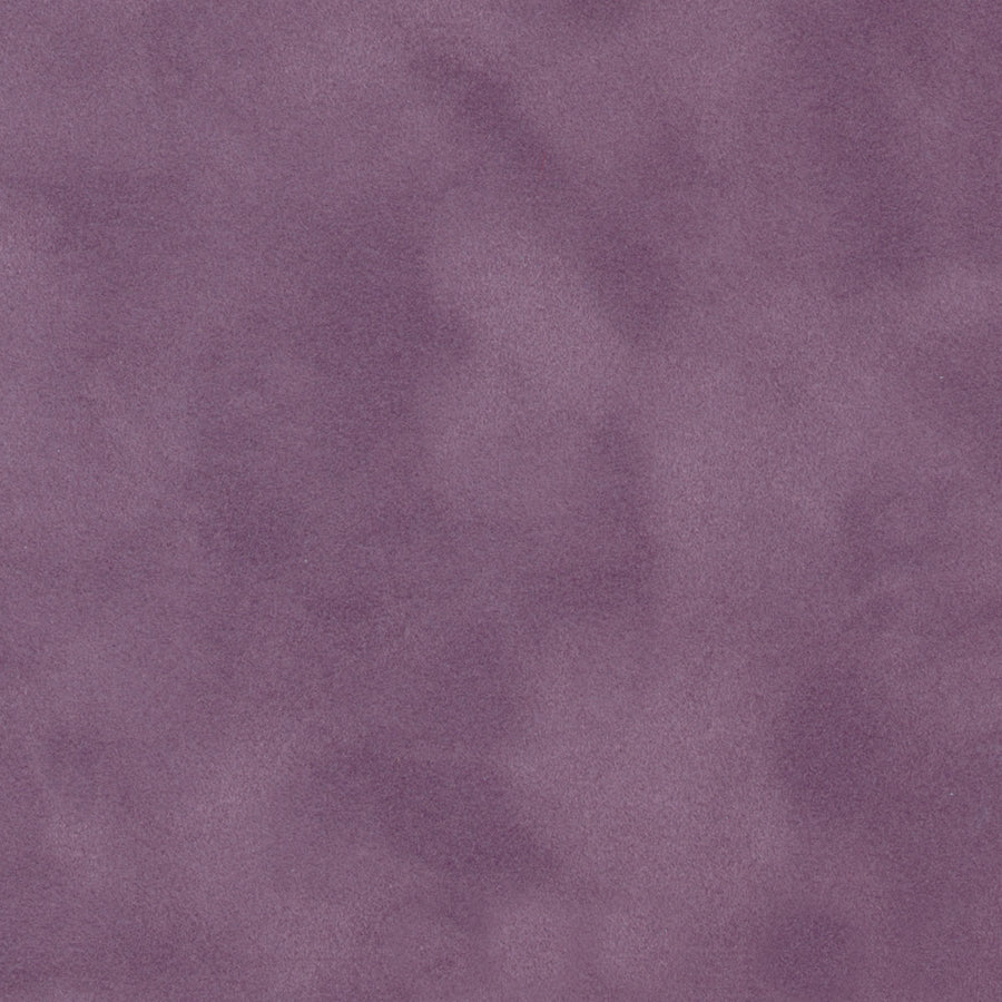 French Lavender