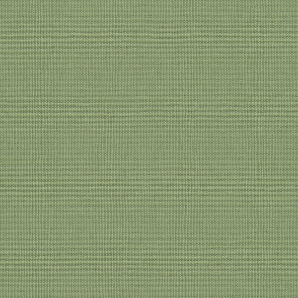 Light Moss