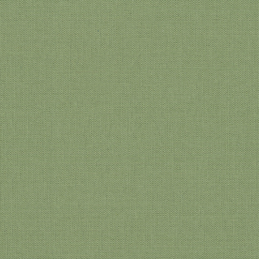 Light Moss