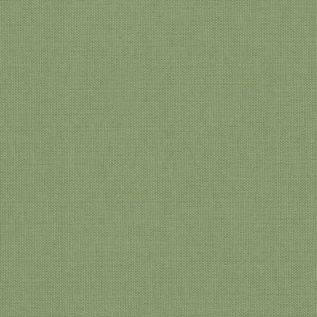 Moss