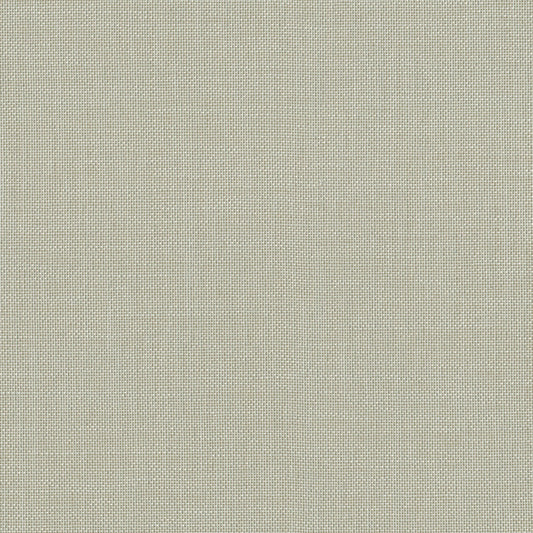 Silver Gray
