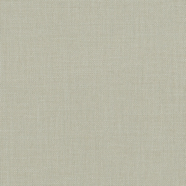 Silver Gray