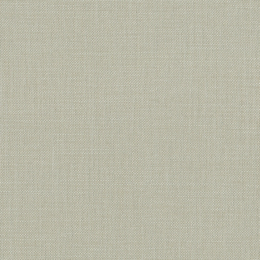 Silver Gray