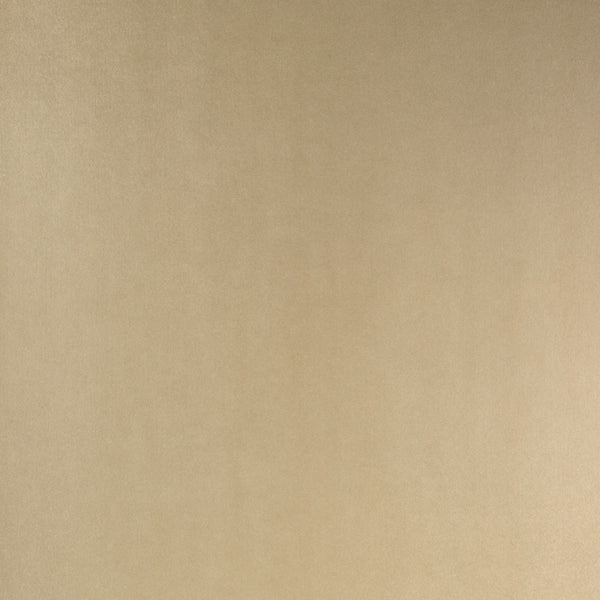 Brushed Pale Gold