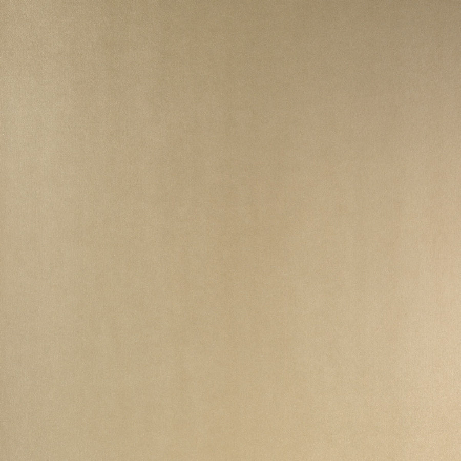 Brushed Pale Gold